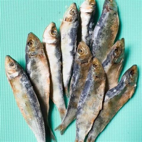 tuyo fish|Tuyo Fish .